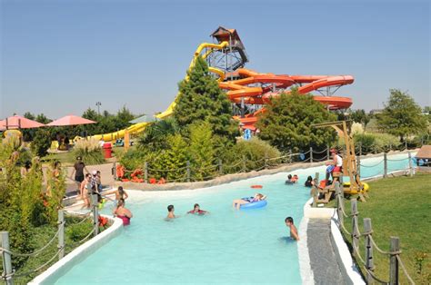 Hawaiian Falls To Host Event For Single Parents Kids Blue Ribbon News