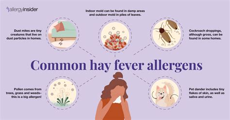Hay Fever Seasonal Allergy Symptoms Causes Treatments Hay Fever Seasonal Allergy Symptoms Causes Treatments