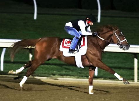 Haydock Sprint Cup Archives Tdn Thoroughbred Daily News Horse Racing News Results And Video Thoroughbred Breeding And Auctions Haydock Sprint Cup Archives Tdn Thoroughbred Daily News Horse Racing News Results And Video Thoroughbred Breeding And Auctions