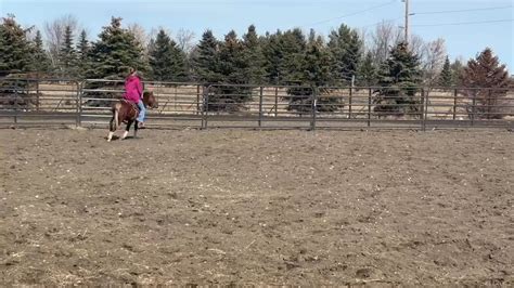 He S A Seriously Fast Horse Full Field Of 20 Get Set For An Intriguing Three Year Old Dash Racing Post He S A Seriously Fast Horse Full Field Of 20 Get Set For An Intriguing Three Year Old Dash Racing Post