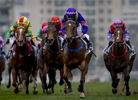 He S A Very Fast Horse Justify Gelding Justifying Impresses On Hk Debut He S A Very Fast Horse Justify Gelding Justifying Impresses On Hk Debut