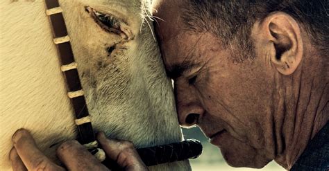 He Thought He Knew Horses Then He Learned To Really Listen The New York Times