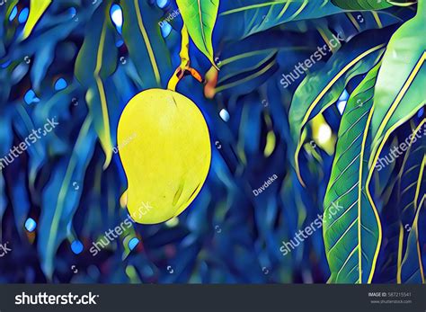 Health Benefits Mango Over 257 Royalty Free Licensable Stock Illustrations Drawings Shutterstock