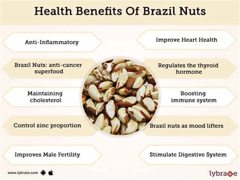 Health Benefits Of Brazil Nuts Unveiling The Power Health Benefits Of Brazil Nuts Unveiling The Power