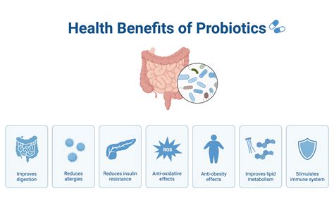 Health Benefits Of Probiotics Biorender Science Templates Health Benefits Of Probiotics Biorender Science Templates