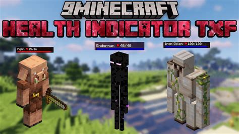 Health Indicator Txf