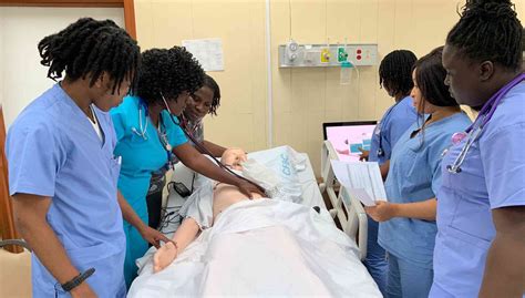 Health Sciences Bachelor Of Science Nursing Degree Clarence Fitzroy