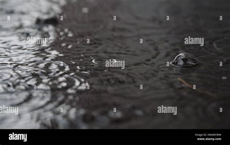 Heavy Rain Falling On Asphalt Hi Res Stock Photography And Images Alamy Heavy Rain Falling On Asphalt Hi Res Stock Photography And Images Alamy