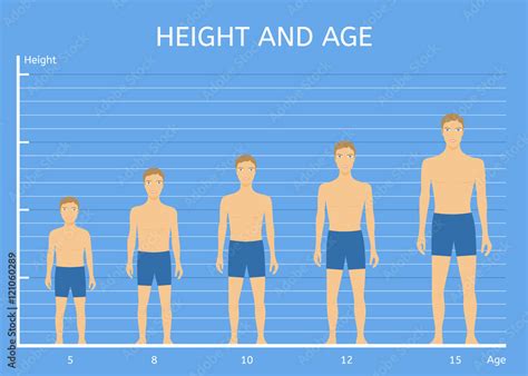 Height And Age Boys The Average Height Of Children Of Different Ages Height And Age Boys The Average Height Of Children Of Different Ages