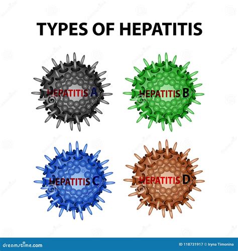 Hepatitis B C And D