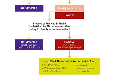Hepatitis B Surface Antibody Ql