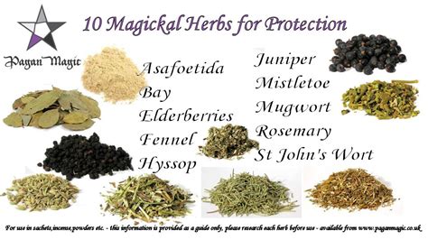 Herbs for Protection: Discover the Top Natural Guardians