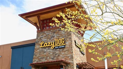 Here S What You Need To Know About Lazy Dog Restaurant Bar