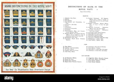 Heritage Images Print Of Royal Navy Rank Distinctions 1919 Art Prints Posters Puzzles From Heritage Images