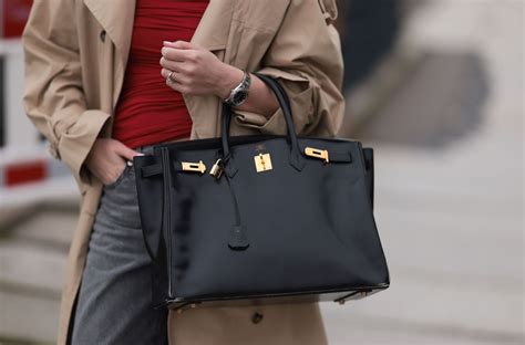 Hermes Birkin Bag Lawsuit Case