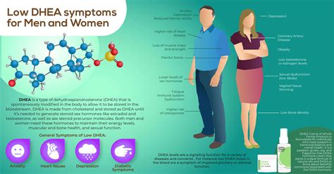 High Dhea S Low T Excel Male Health Forum