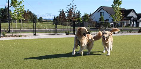 Hillsboro Dog Parks At A Glance City Of Hillsboro Or