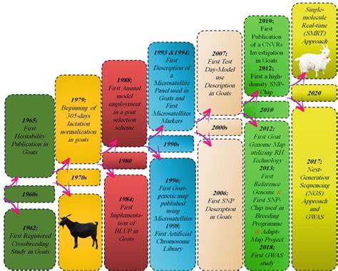 History Of The Goat And Modern Versus Old Strategies To Enhance The Genetic Performance Intechopen History Of The Goat And Modern Versus Old Strategies To Enhance The Genetic Performance Intechopen