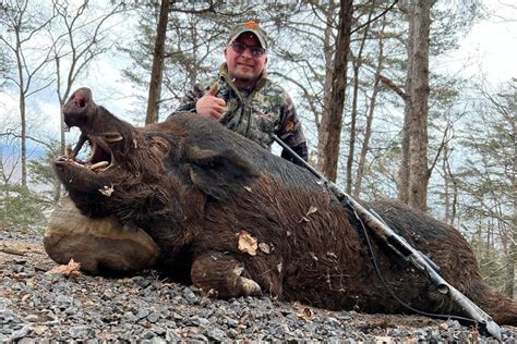 Hog Hunting In Arkansas Where To Hunt And What To Know In 2024 Hog Hunting In Arkansas Where To Hunt And What To Know In 2024