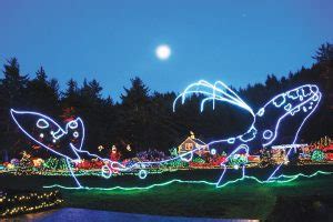 Holiday Light At Shore Acres State Park Coos Bay North Bend