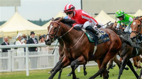 Hollie Doyle Amp 39 I Amp 39 Ve Never Known A Horse As Tough As Bradsell Amp 39 Racing