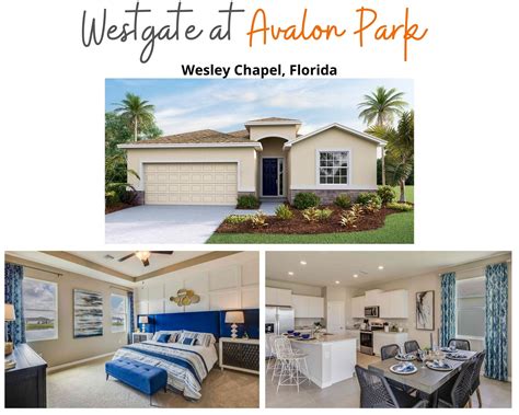 Home Avalon Park Wesley Chapel