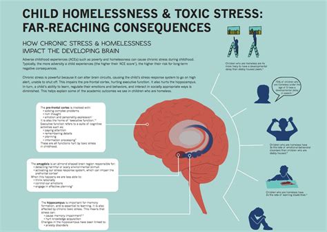 Homelessness Poverty And The Brain Mapping The Effects Of Toxic