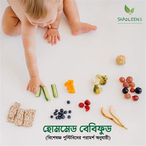 Homemade Baby Foods Price In Bangladesh