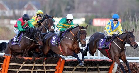 Horse Racing Betting Tips Five Christmas Jumpers To Keep You Covered During A Festive Feast Irish Mirror