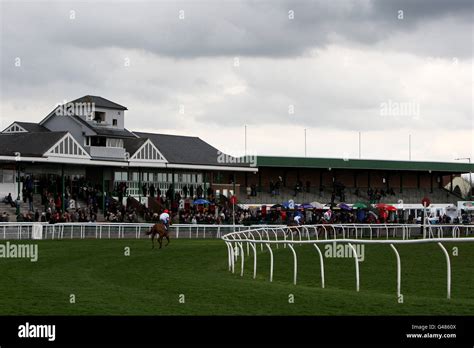 Horse Racing Catterick Racecourse Stock Photo Alamy Horse Racing Catterick Racecourse Stock Photo Alamy