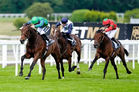 Horse Racing Goes On Strike For The First Time In Extraordinary Move The Mirror Horse Racing Goes On Strike For The First Time In Extraordinary Move The Mirror