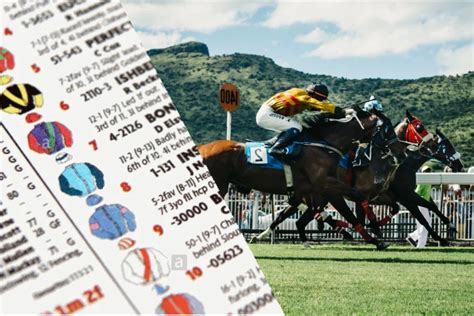 Horse Racing Predictions