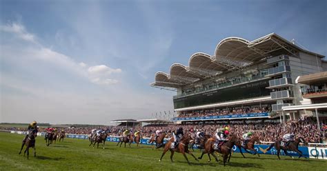 Horse Racing Results In Full From Newmarket Hamilton Ascot Chester Salisbury And York Daily Record