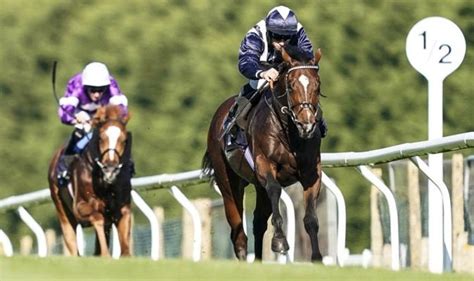 Horse Racing Tips April 30 Horses You Must Back At Punchestown Brighton Chelmsford Racing Sport Express Co Uk