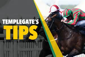 Horse Racing Tips He S Improving Rapidly And Looks A Superstar Templegate S 10 3 Goodwood Day Three Nap