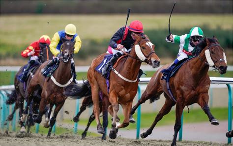Horse Racing Tips Our Best Bets For Lingfield Today Include A Juicy 7 1 Punt Paddy Power News