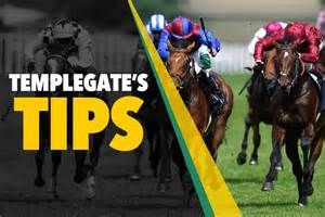 Horse Racing Tips She S In Flying Form And Can Win Again Templegate S Sunday Nap