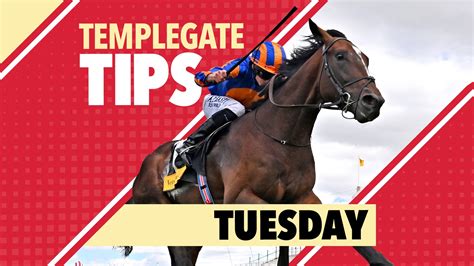 Horse Racing Tips Templegate Nap Runs At Kempton And Looks A Superstar In The Making