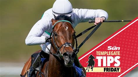 Horse Racing Tips Today Templegate Picks 11 4 Nap With Adam Kirby In The Saddle At Wolverhampton Plus Best Monday Bets