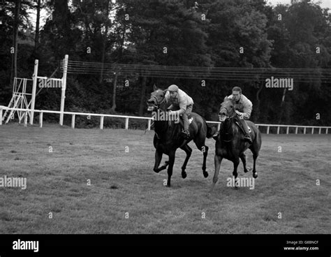 Horse Racing Training Lester Piggott Ascot Stock Photo Alamy Horse Racing Training Lester Piggott Ascot Stock Photo Alamy