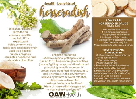 Horseradish Benefits And Uses It S A Lot More Than Relish Horseradish Benefits And Uses It S A Lot More Than Relish