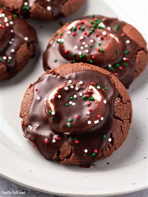 Hot Cocoa Cookies Hot Cocoa Cookies