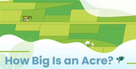 How Big Is An Acre Of Land A Comprehensive Guide