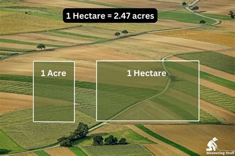 What is One Hectare