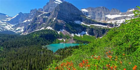 How Cheap Is Montana At Carolann Ness Blog