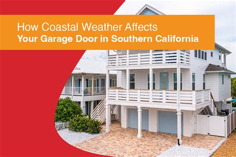 How Coastal Weather Affects Pest Behavior In South Bay Homes
