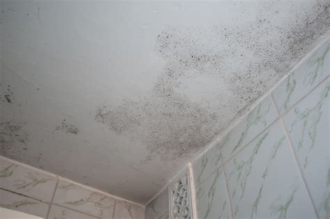 How Do You Get Rid Of Mold On Your Bathroom Ceiling Ahold Of Mold Environmental How Do You Get Rid Of Mold On Your Bathroom Ceiling Ahold Of Mold Environmental