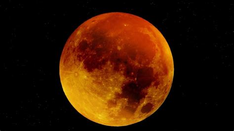 How Does Beaver Moon Get Its Name Here S When To See Largest And Closest Supermoon Of 2025 Hindustan Times How Does Beaver Moon Get Its Name Here S When To See Largest And Closest Supermoon Of 2025 Hindustan Times