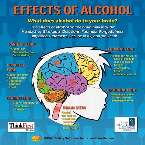 How Drinking Affects The Body And Brain Alcohol Awareness