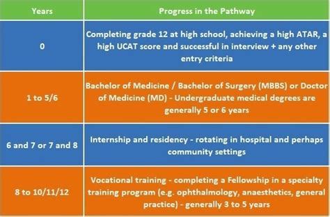 How Long Does It Take To Become A Doctor My Health Career